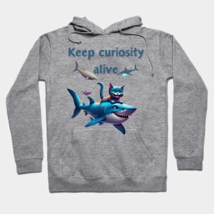 Keep curiosity alive Hoodie